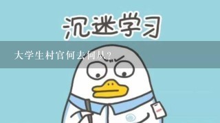 大学生村官何去何从？