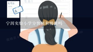 宁洱实验小学分快班和慢班吗