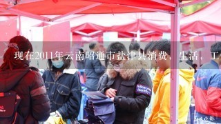 现在2011年云南昭通市盐津县消费，生活，工资是多少