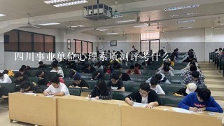 四川事业单位心理素质测评考什么