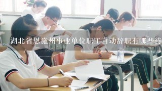 湖北省恩施州事业单位职工自动辞职有哪些待遇