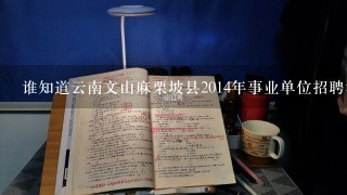 谁知道云南文山麻栗坡县2014年事业单位招聘考试职位表下载地址？