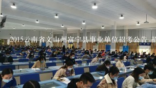 2015云南省文山州富宁县事业单位招考公告 招考简章