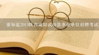 谁知道2013陕西咸阳武功县事业单位招聘考试职位表下载地址?