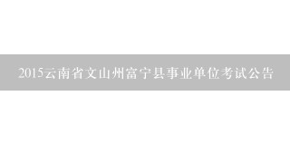 2015云南省文山州富宁县事业单位考试公告