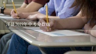 洋县2019年中考分数线