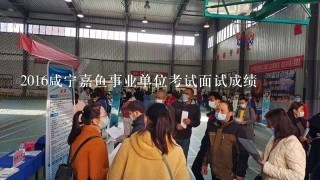 2016咸宁嘉鱼事业单位考试面试成绩