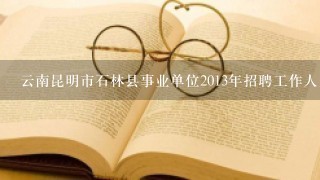 云南昆明市石林县事业单位2013年招聘工作人员准考证打印时间？