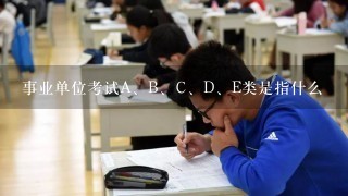 事业单位考试A、B、C、D、E类是指什么