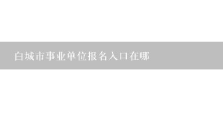 白城市事业单位报名入口在哪