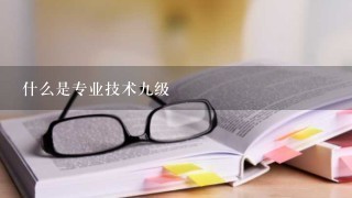 什么是专业技术九级