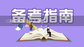 三岗十八级是什么意思