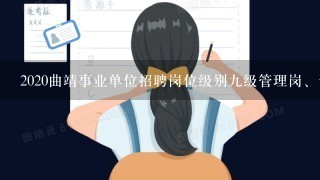 2020曲靖事业单位招聘岗位级别九级管理岗、十二级专技岗位