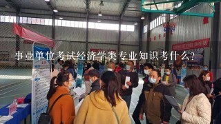 事业单位考试经济学类专业知识考什么？