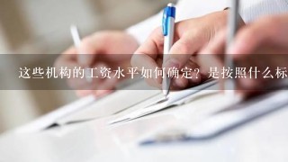 这些机构的工资水平如何确定？是按照什么标准进行评定的？