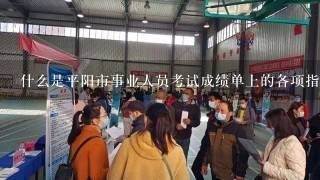 什么是平阳市事业人员考试成绩单上的各项指标及其含义？